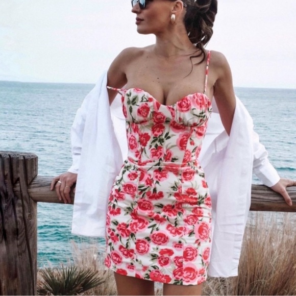 NWT Zara Corset Rose Floral Mini Dress - Picture 1 of 6